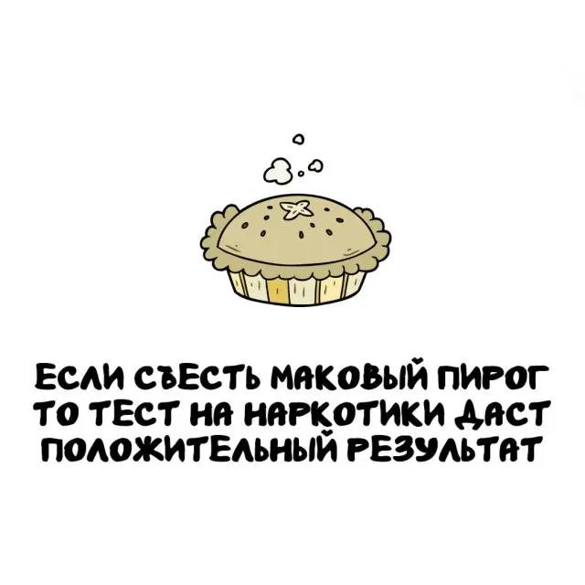 Интересные факты на все случаи жизни 12.03.2026