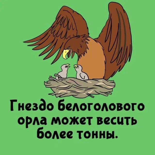 Интересные фаткы на все случаи жизни 18.08.2026