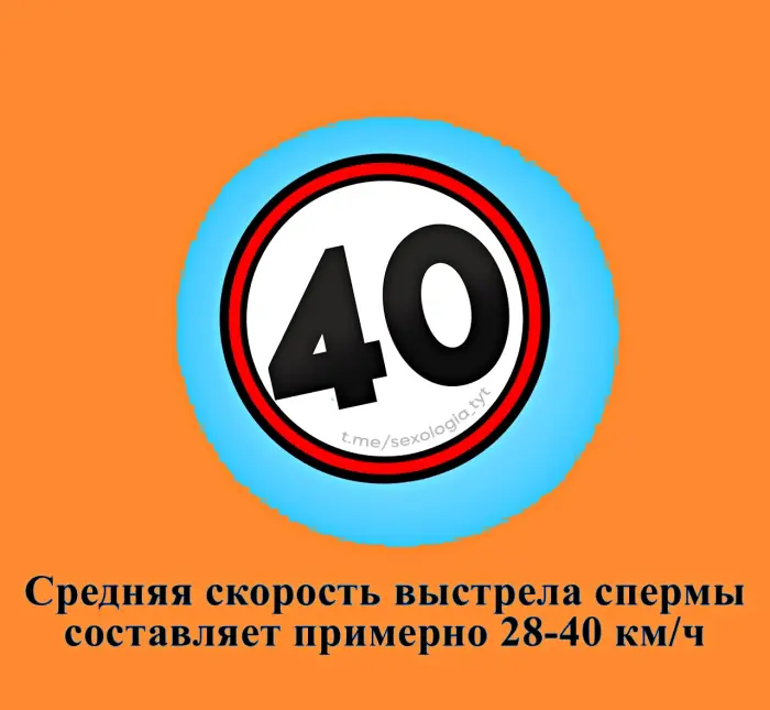 Сексуальная правда: 15 фактов, которым не научат в школе 18.08.2026