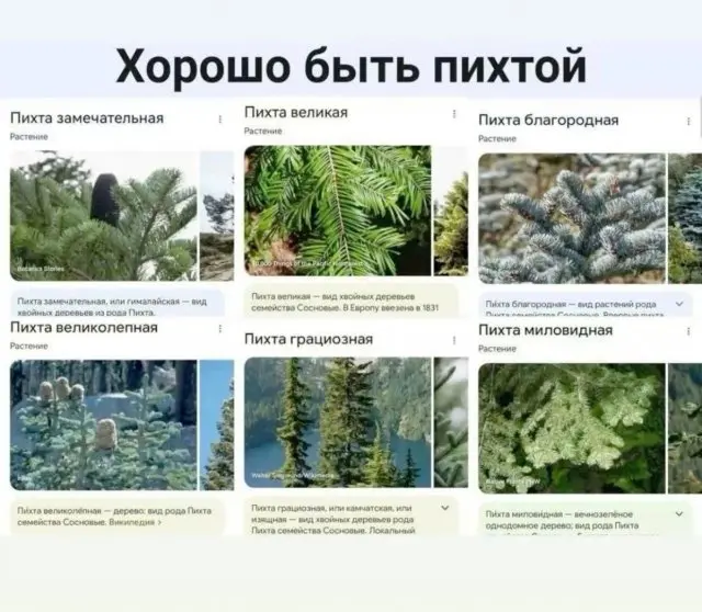 Смешные мемы - 09.09.2026